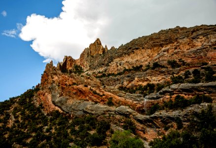 Dinosaur National Monument Monarch Survey (48765698997)