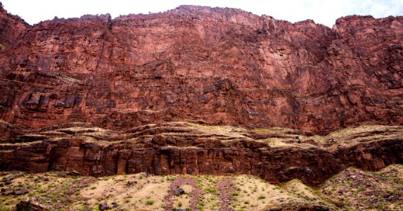 Dinosaur National Monument Monarch Survey (48765693267)