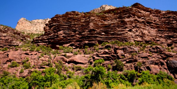Dinosaur National Monument Monarch Survey (48765701562)