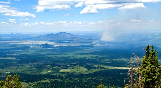Distant Forest Fire (38514497856)