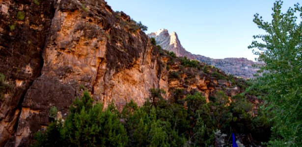 Dinosaur National Monument Monarch Survey (48765170473)