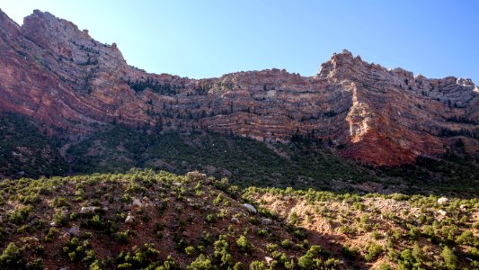 Dinosaur National Monument Monarch Survey (48765500371)