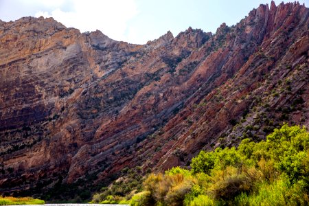 Dinosaur National Monument Monarch Survey (48765503646)