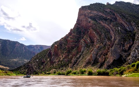 Dinosaur National Monument Monarch Survey (48765697257)