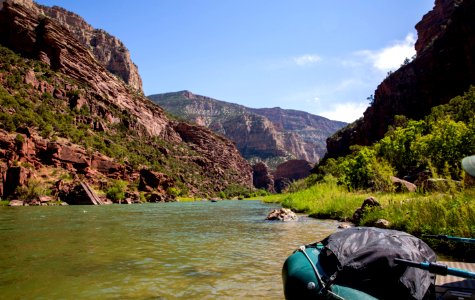 Dinosaur National Monument Monarch Survey (48765702167)