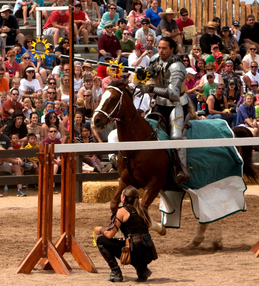 Don Vincenzo (13832037064)