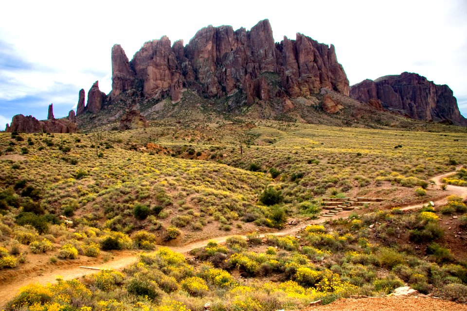 Distant Peaks and Brittlebush in Bloom in March (39380402402)