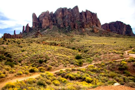 Distant Peaks and Brittlebush in Bloom in March (39380402402)