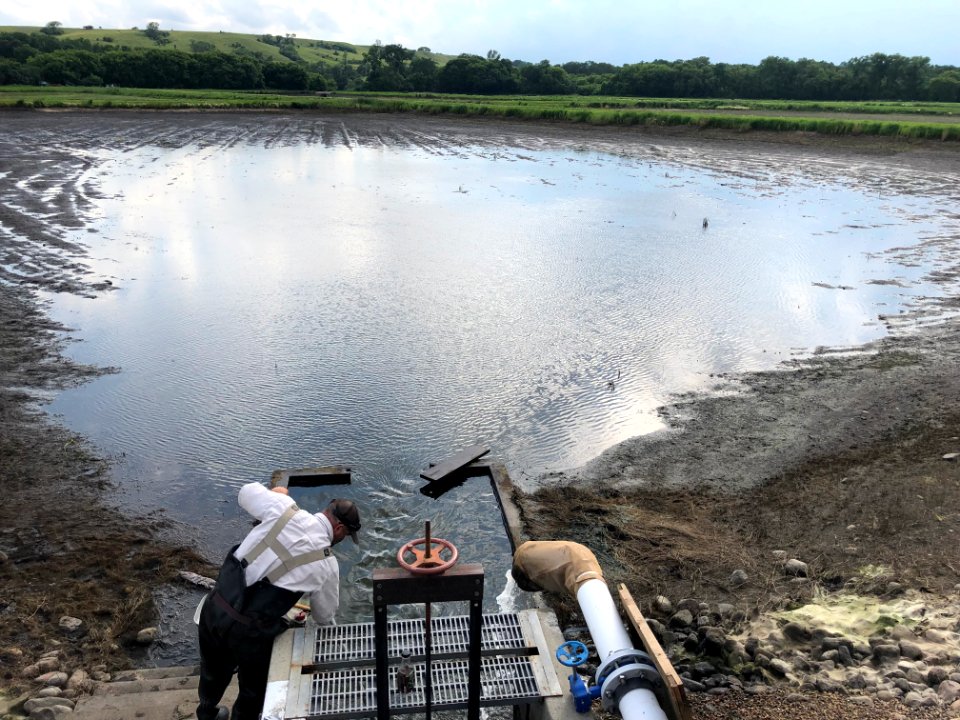 Draining a Hatchery Pond (51270633231)