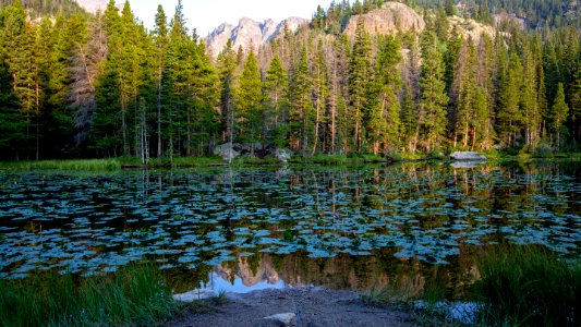 Dream Lake (29560311697)