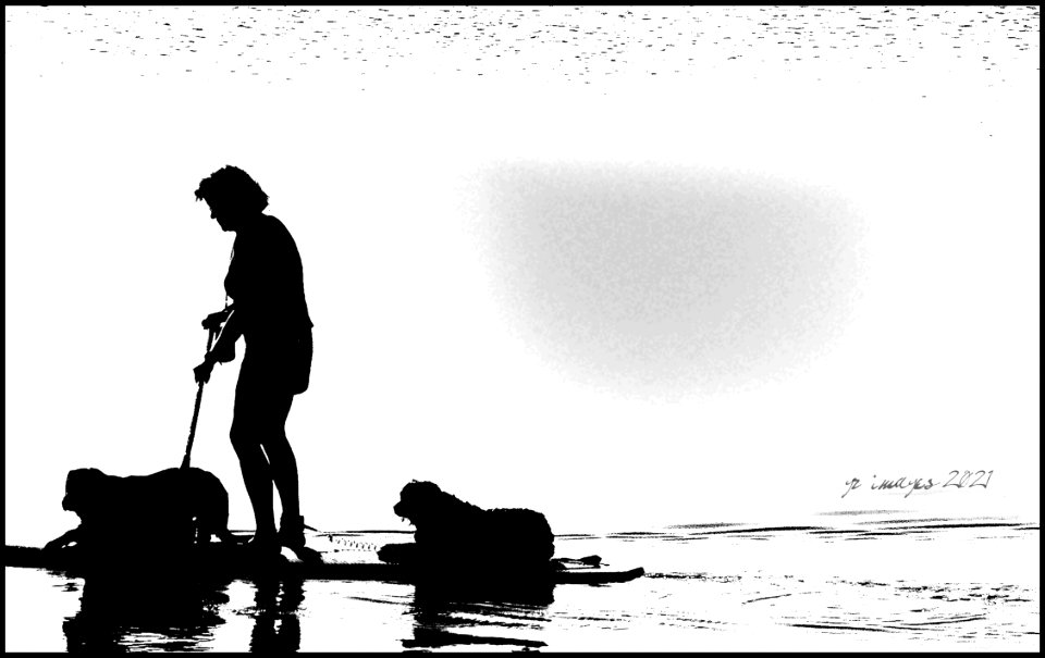 Dog Paddle (50927148783)