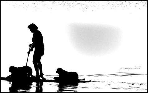 Dog Paddle (50927148783)