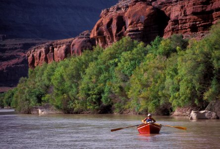 Dory on the Colorado River (7167167642)