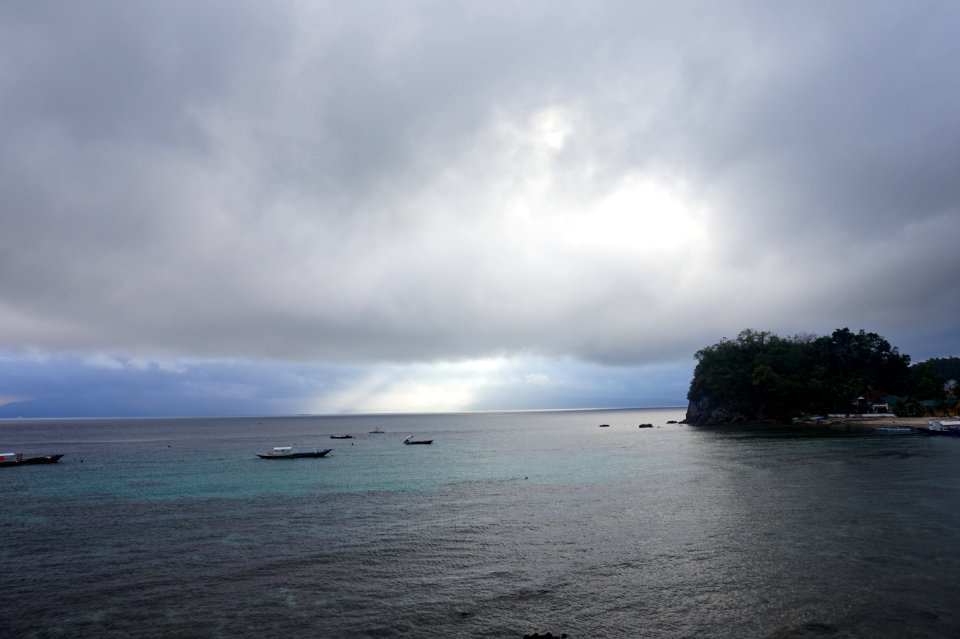 DSC00639 (34444022405)