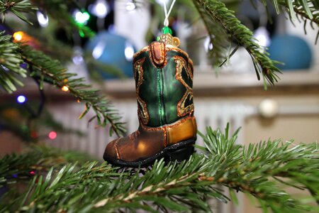 Fir tree pine christmas tree