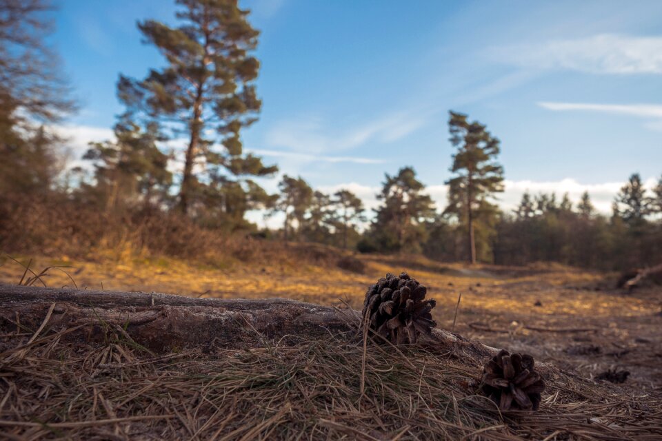 Outdoors panoramic environment