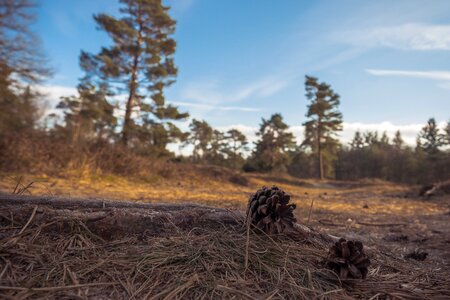 Outdoors panoramic environment