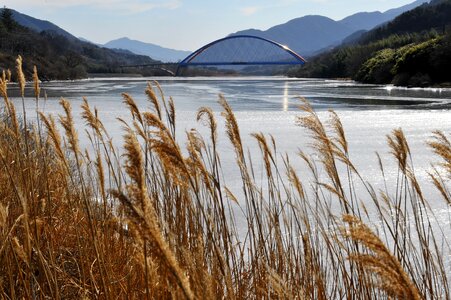 Bing health silver grass spring is coming