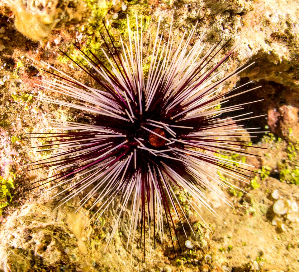 DSC1116 (40077736004)