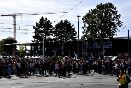 DSC3118 (48766282867)