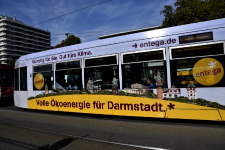 DSC3115 (48765755273)