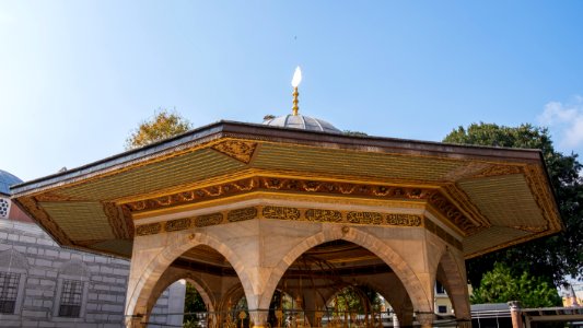 DSCF6993 (48985224348)