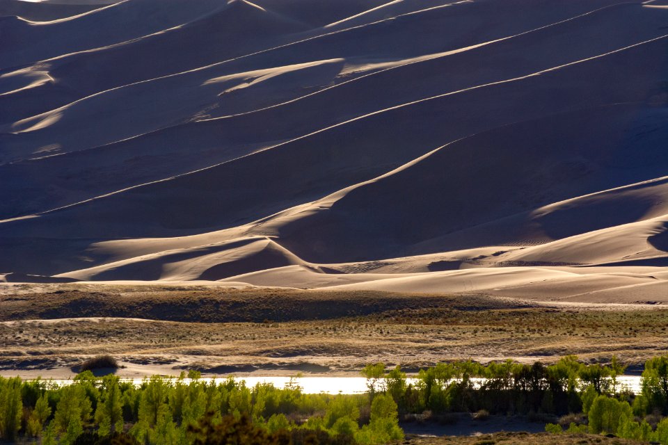 Dune Ridges above Medano Creek (51266015330)