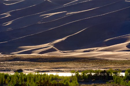 Dune Ridges above Medano Creek (51266015330) photo