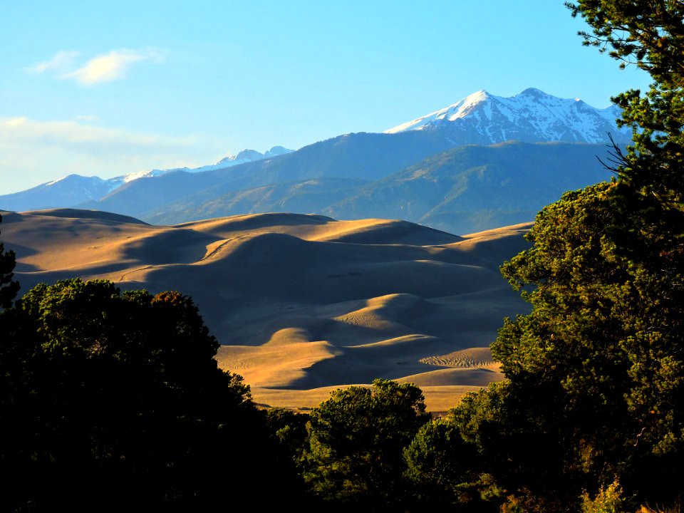 Dunes and Cleveland Peak from Foothills Woodlands (33967634542)