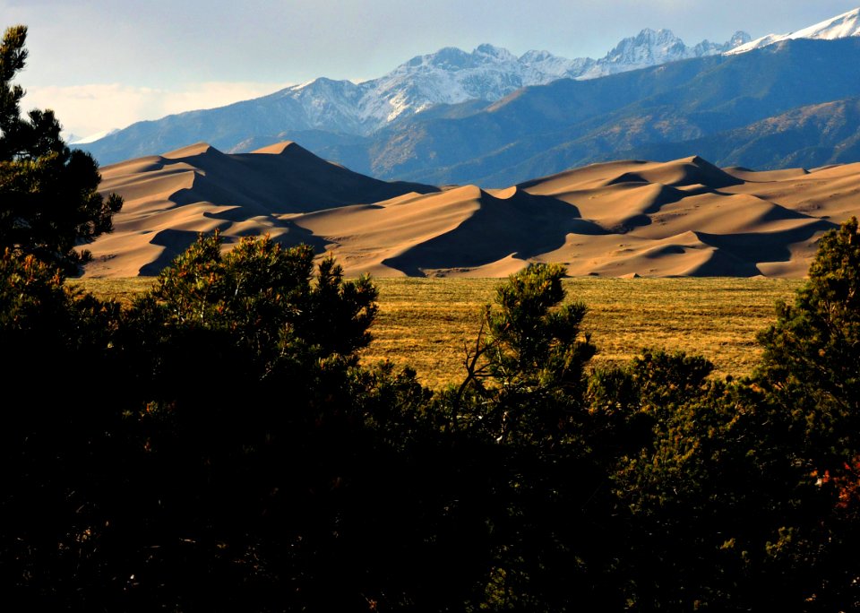 Dunes and Crestone Peaks through Piñon Pines (41326102214)