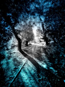 Duotone (51616242740)