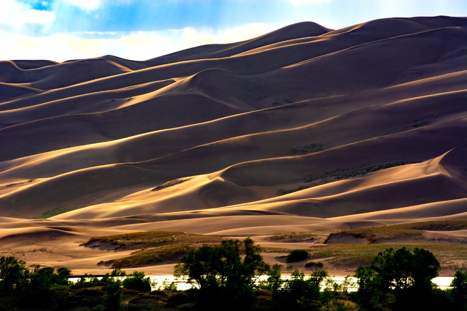 Dune Ridges (48547561807)