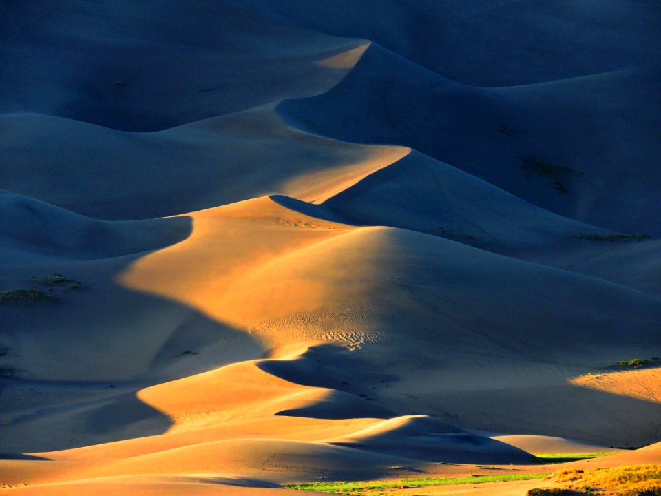 Dune Ridge (29749190042)