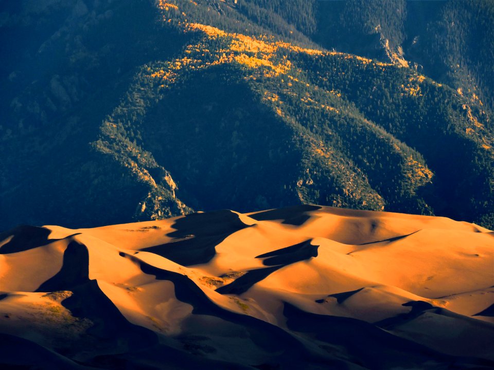 Early Morning Light on Dunes and Gold Aspen Grove (43314669510)