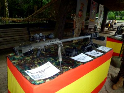 Día de las Fuerzas Armadas (7937172044)