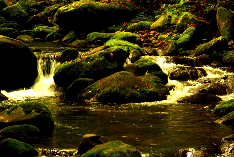 Early Fall Stream (50345907818)