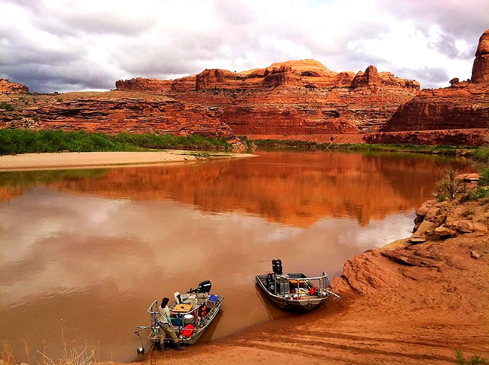 Electrofishing near Canyonlands (51275835827)