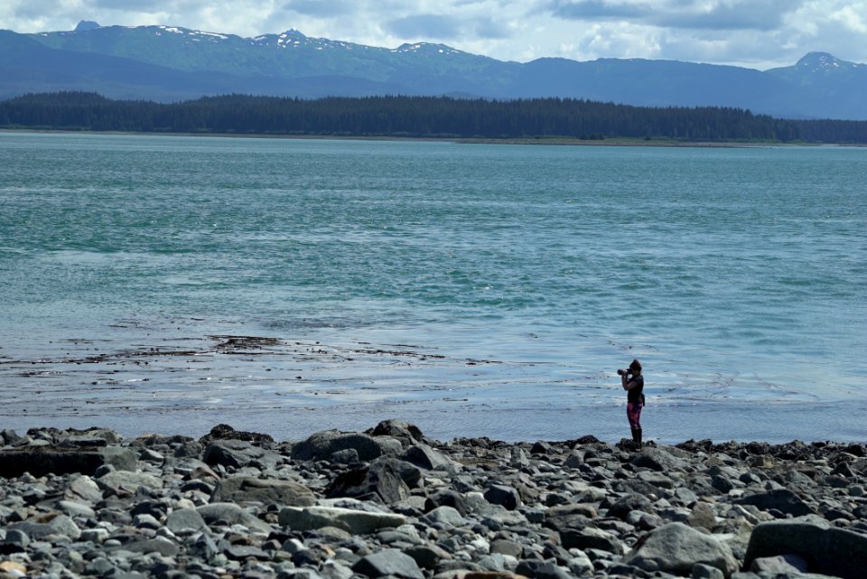 Episode 9 Underwater Conversations in Glacier Bay (32373351440)