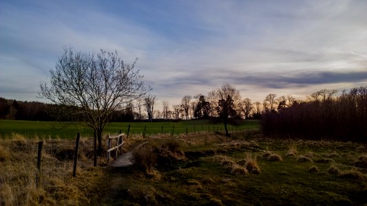 Escape to the country (33344803223)