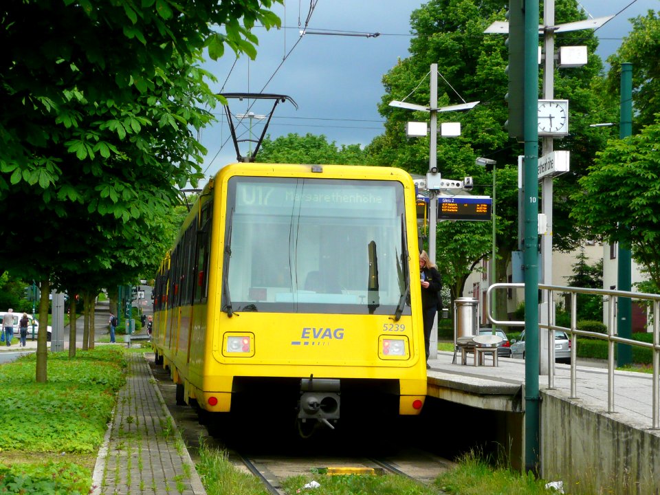 EVAG5239-DLR-P86-09-P1230424 (36553710031)