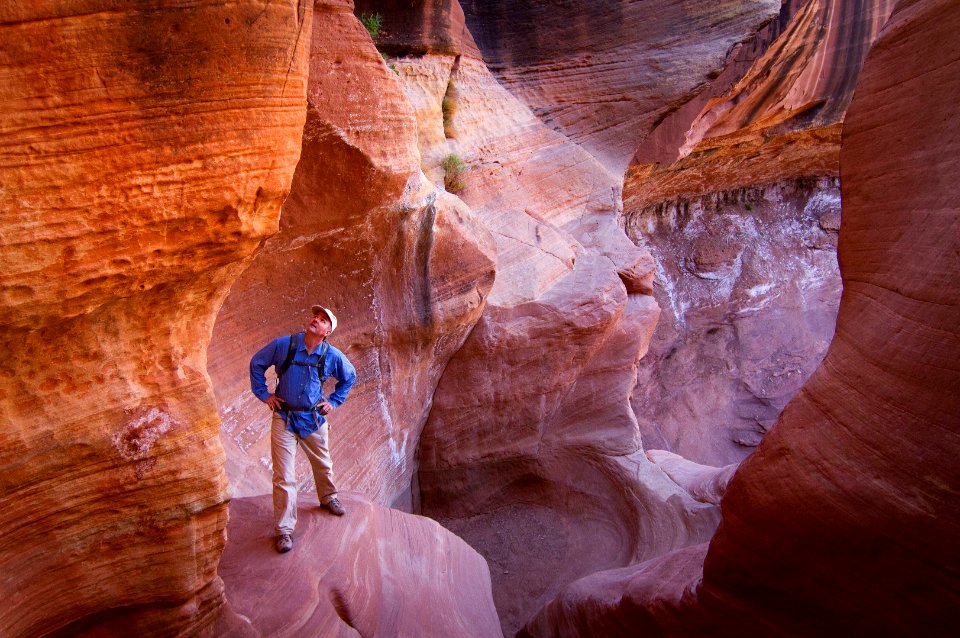 Exploring Lower Holeman Canyon along the White Rim Road. (8044058352)