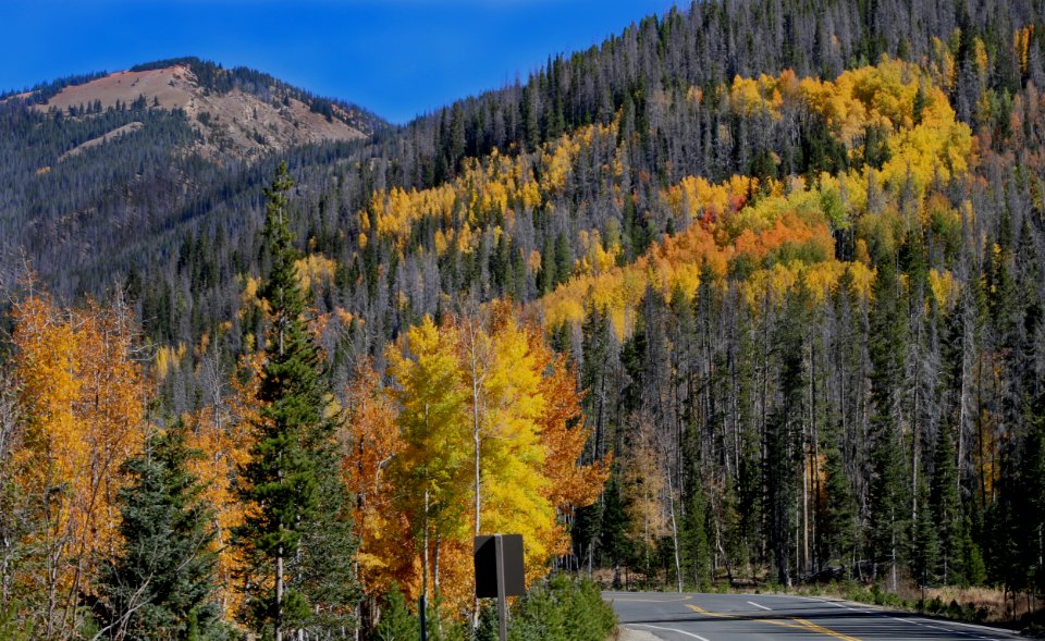 Fall Colors (29462862934)