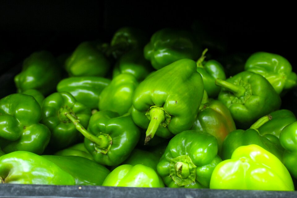 Retail supermarket market