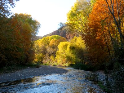 Fall Colors in Aravaipa Canyon Wilderness (50356036173)