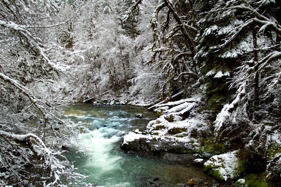 Fernview Recreation area, Oregon (26633042938)