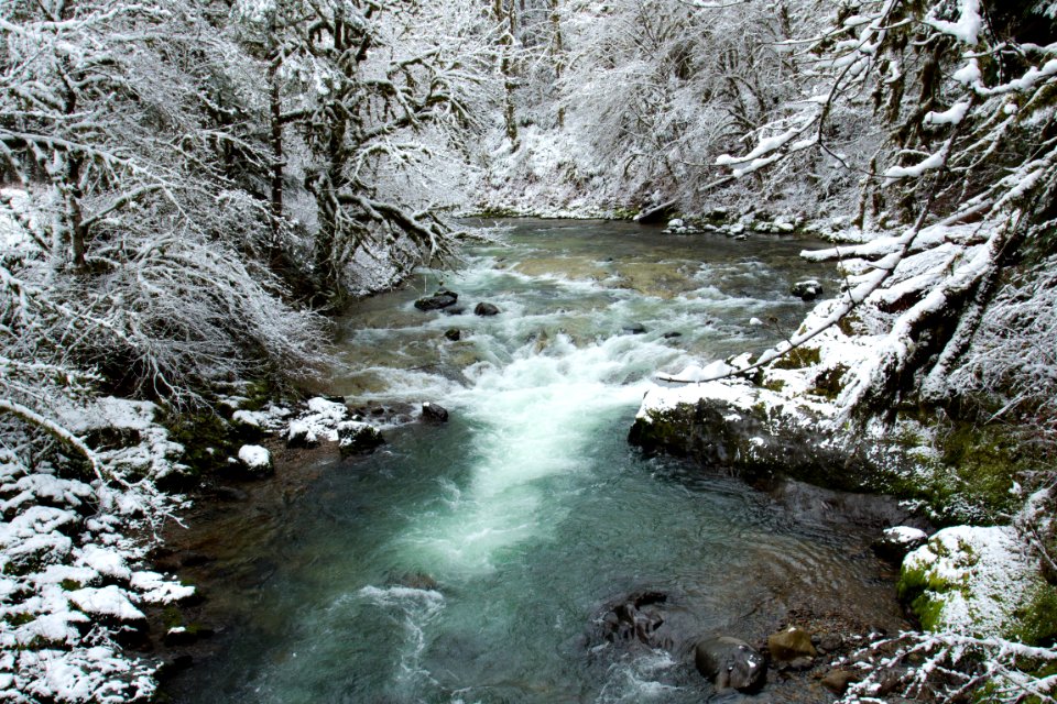 Fernview Recreation area in snow, Oregon (26633026458)