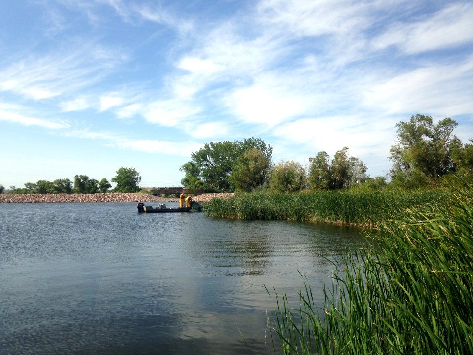 Fish survey at Air Force Base (51253092996)