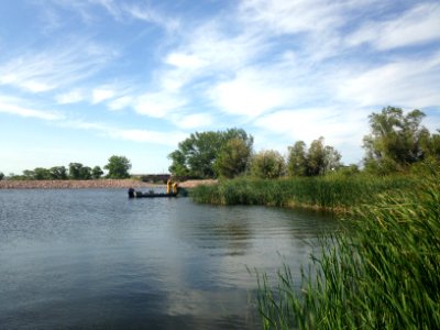 Fish survey at Air Force Base (51253092996)