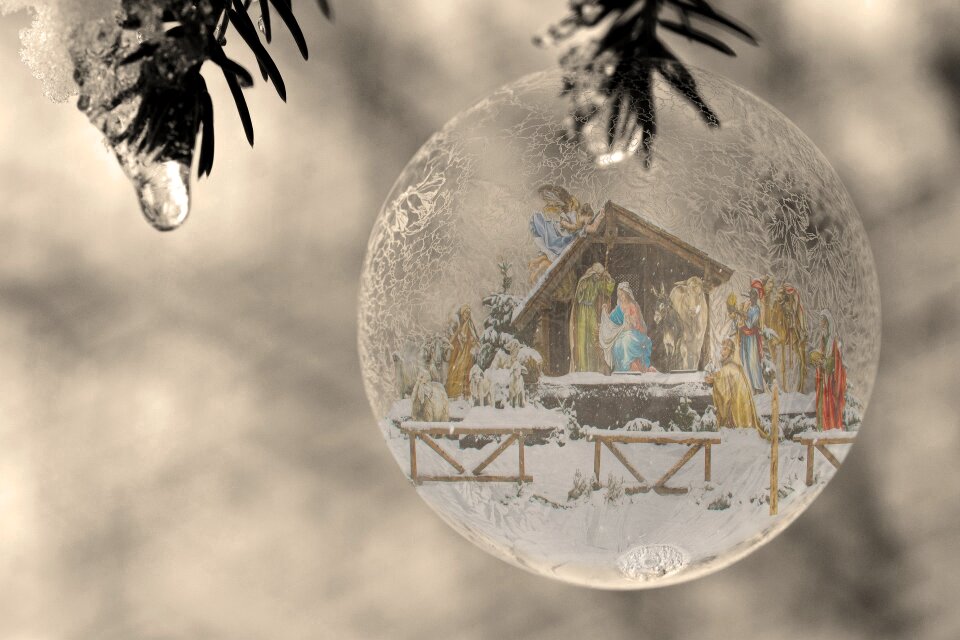 Nature crib christmas