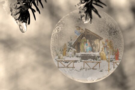Nature crib christmas